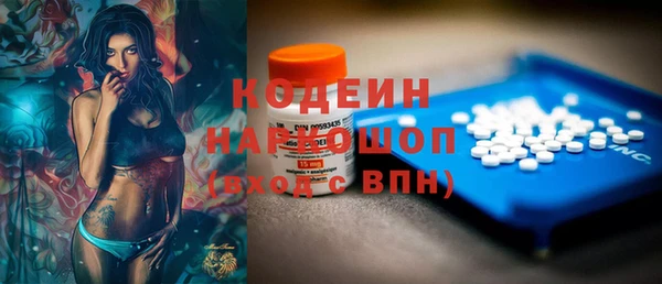 крисы Новодвинск