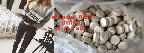 крисы Новодвинск