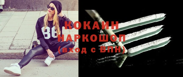 крисы Новодвинск