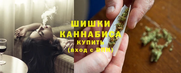 крисы Новодвинск