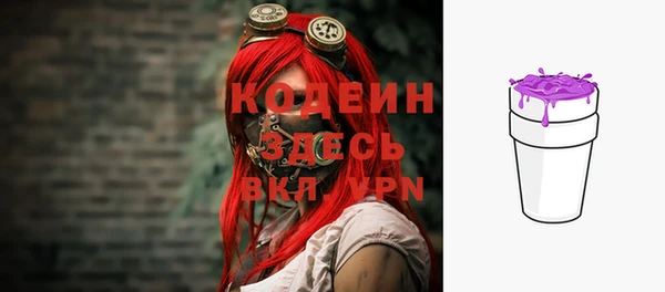 крисы Новодвинск