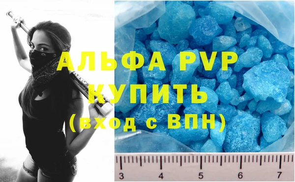 ПСИЛОЦИБИНОВЫЕ ГРИБЫ Слюдянка