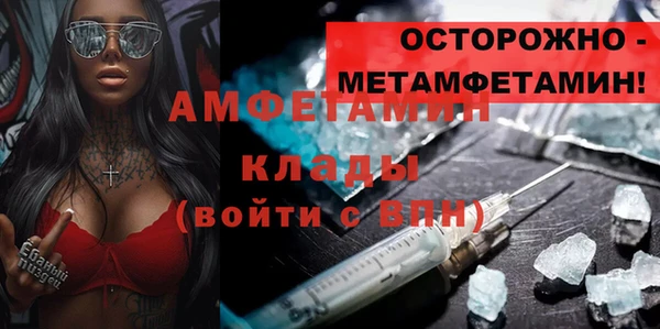 крисы Новодвинск