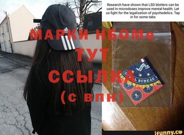 дмт Новокубанск