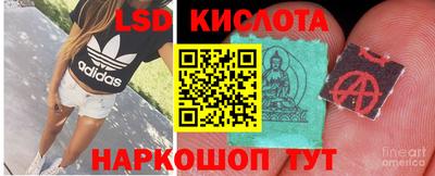 скорость Берёзовский