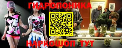 скорость Берёзовский