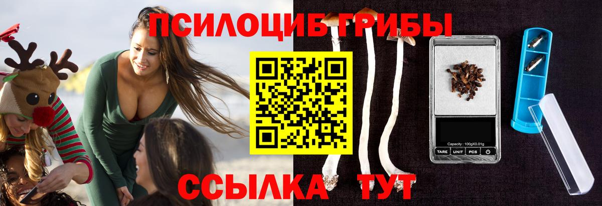 продажа наркотиков  Псилоцибиновые грибы GOLDEN TEACHER  Вход с VPN  Калуга 