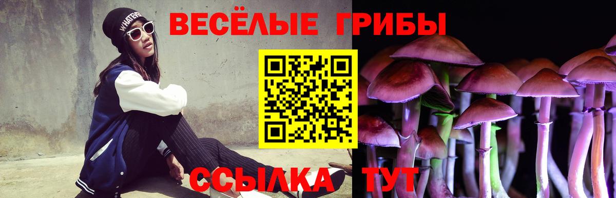 Галлюциногенные грибы мухоморы  Калуга 